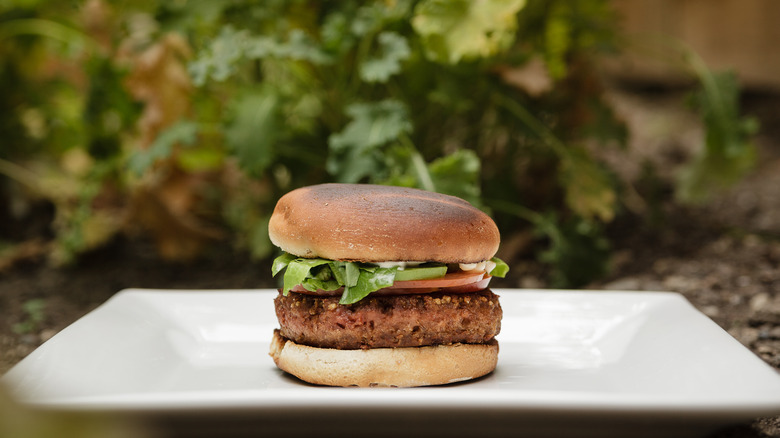 Plant-based burger