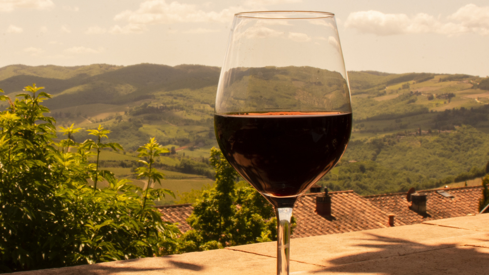 France Isn't The Leader In Wine Production — This Country Is