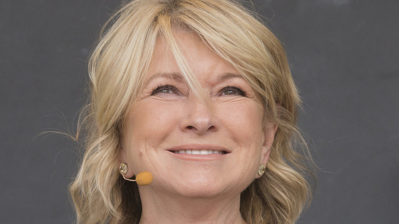 Martha Stewart smiling with gray background