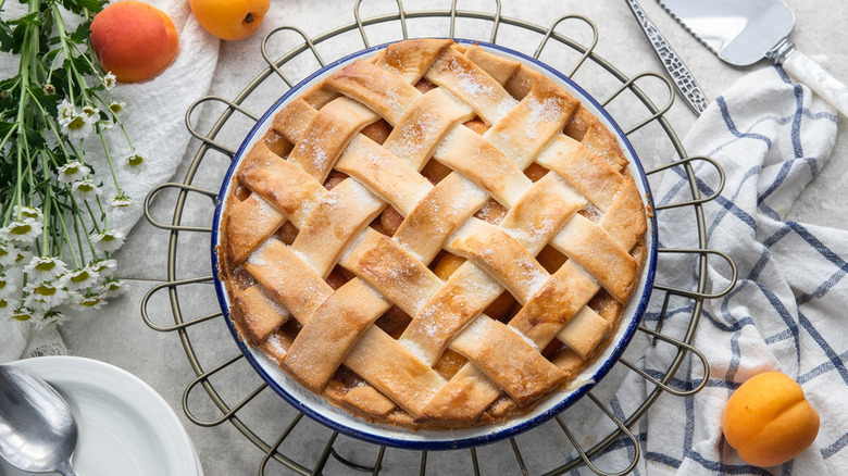 apricot pie with lattice top