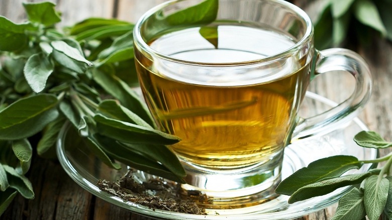 Cup of tea with fresh and dried sage leaves
