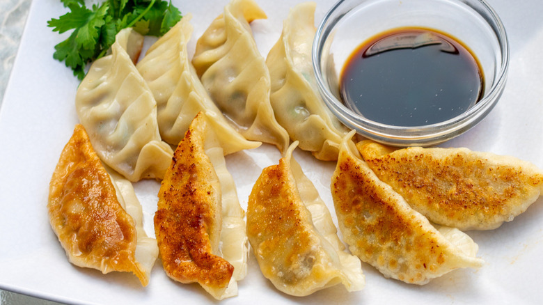 Pork Gyoza on plate