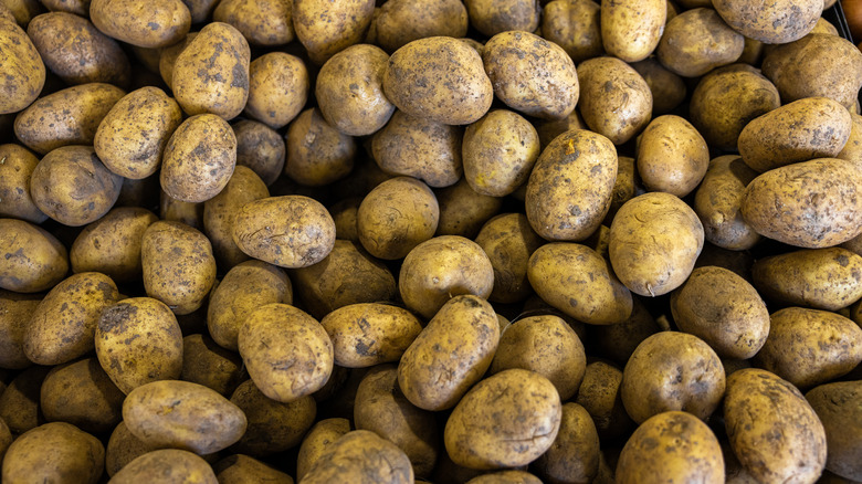 A photo of brown-skinned potatoes with a little dirt on them
