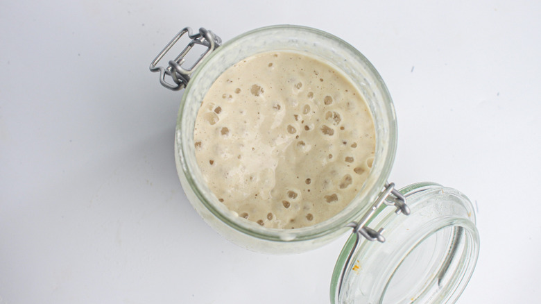 bubbly sourdough starter in jar