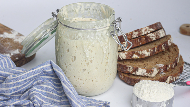 from-scratch sourdough starter