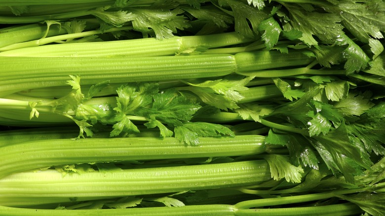 stalks of raw celery