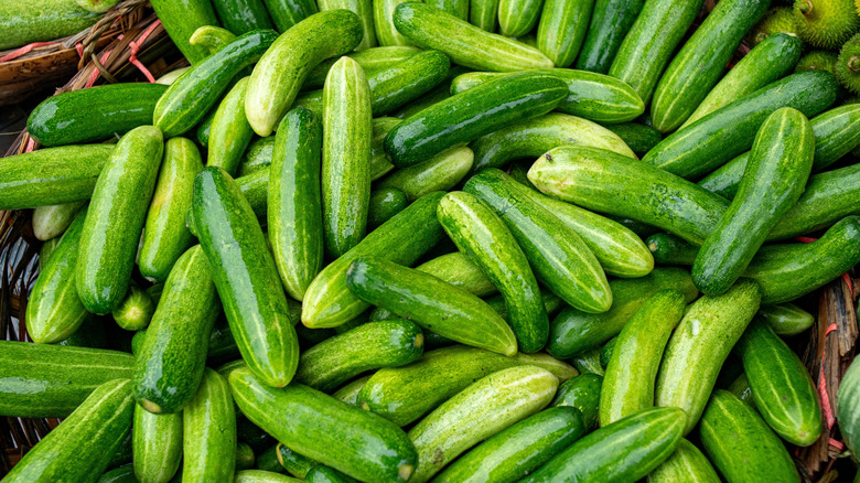 basket of whole cucumbers