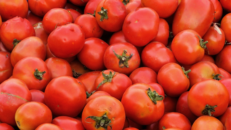 stack of fresh tomatoes