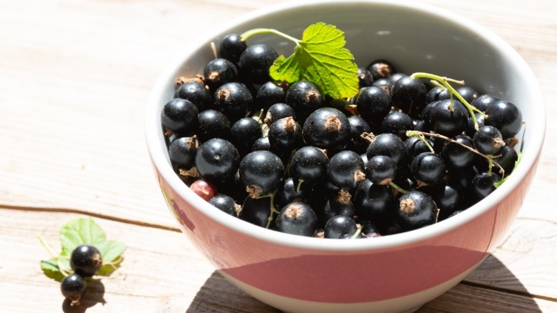 Bowl of black currants on table outside in sun.