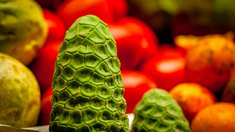 Monstera deliciosa with other fruits