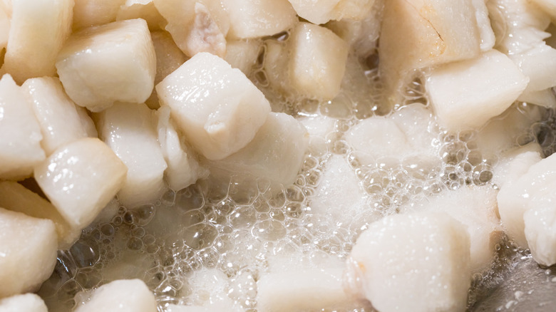 Closeup of cubes of fat rendering and bubbling