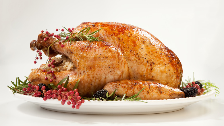 Roasted turkey on white plate with fruit