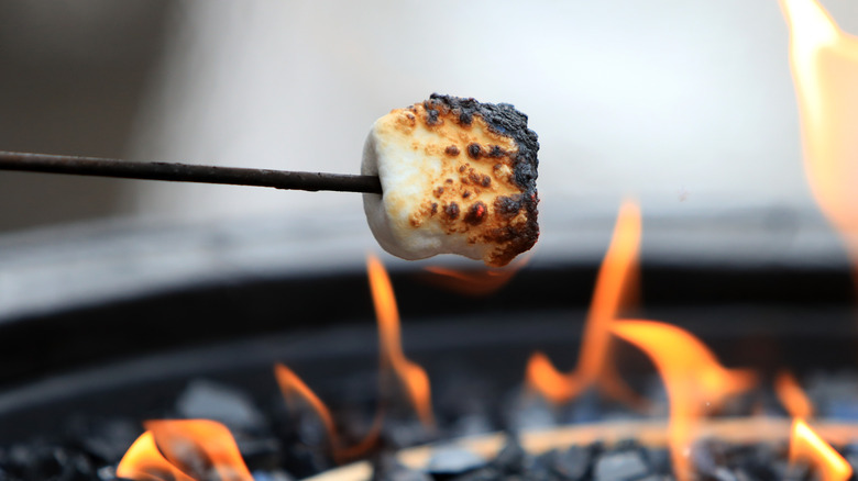 Toasted marshmallow over a fire