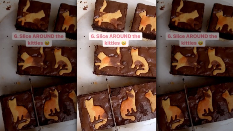 Kim-Joy's brownies with cat cookies on top