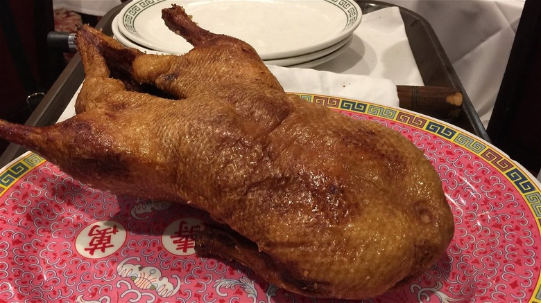 Peking duck on colorful plate at Peking Gourmet Inn