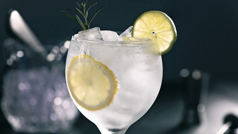 Gin and tonic with ice
