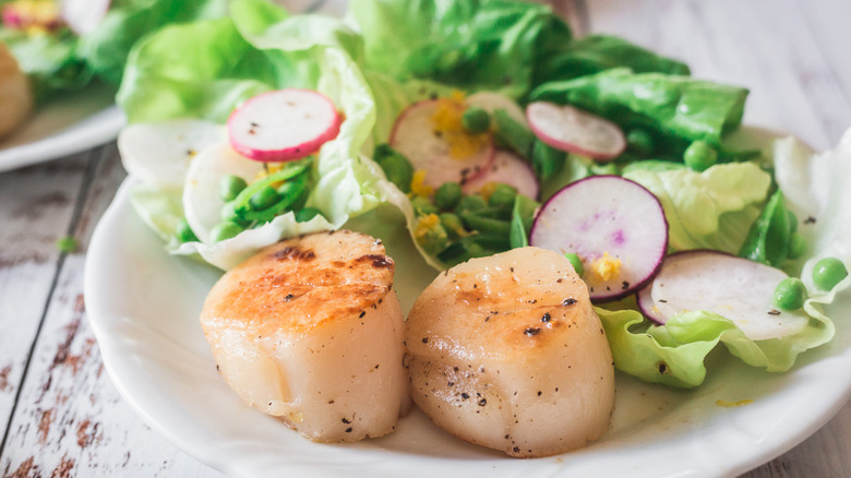 plate with scallops and salad