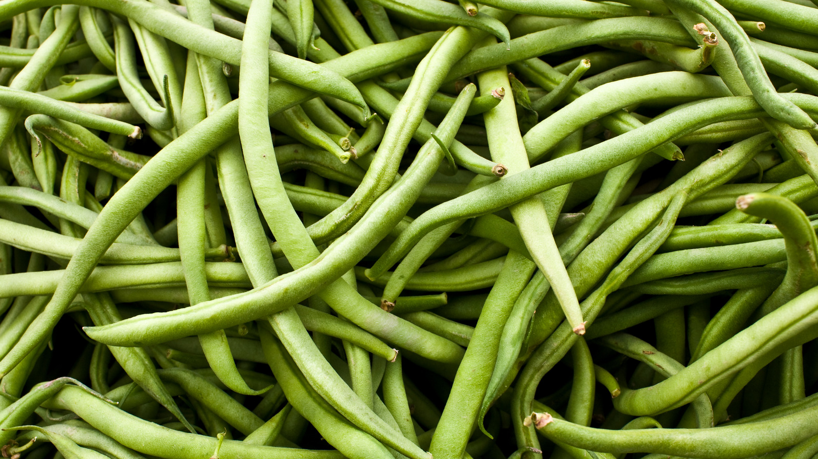 Green Beans Take This Long To Go Bad