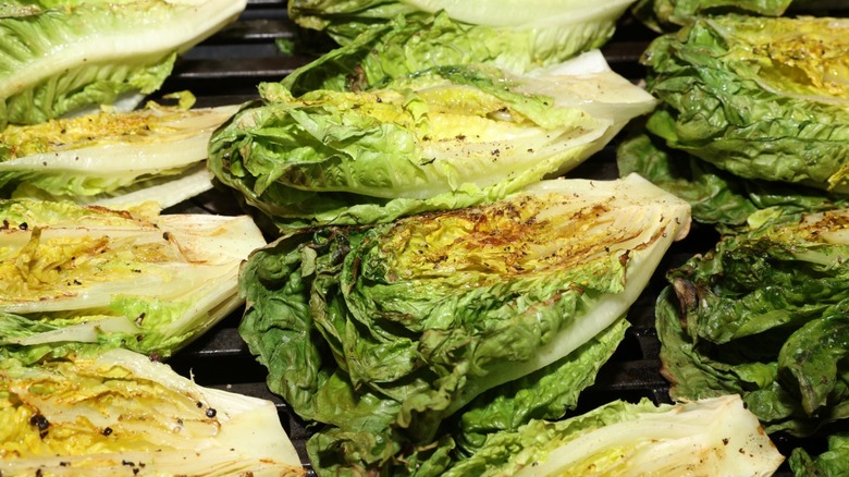 Heads of grilled lettuce