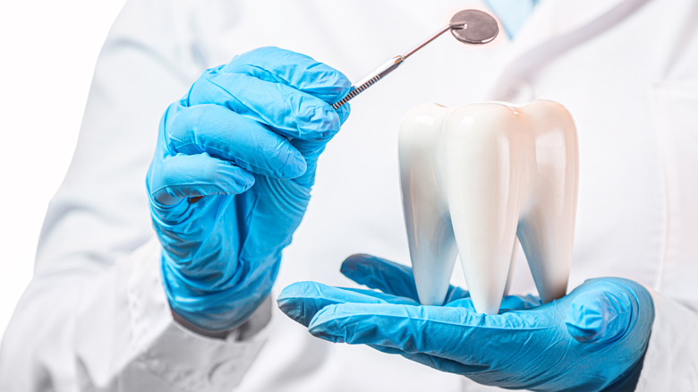 Human Tooth