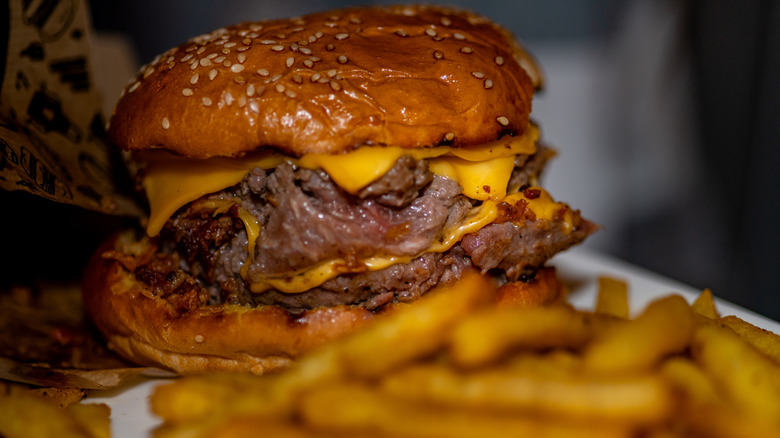 gross fast food burger and fries