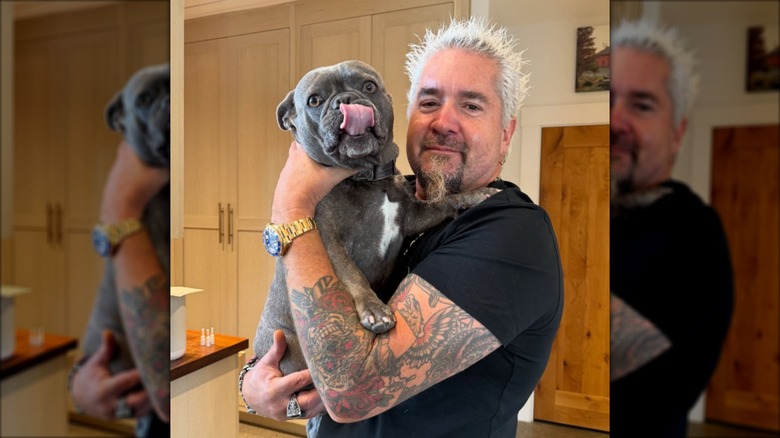 Guy Fieri holding his French bulldog