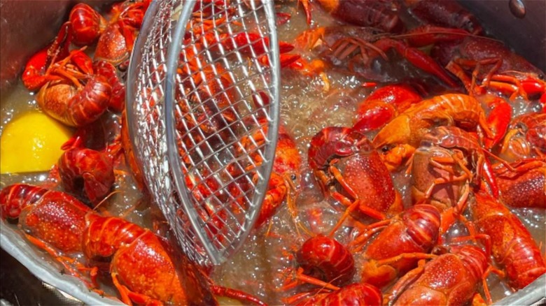 boiled crawfish in pot