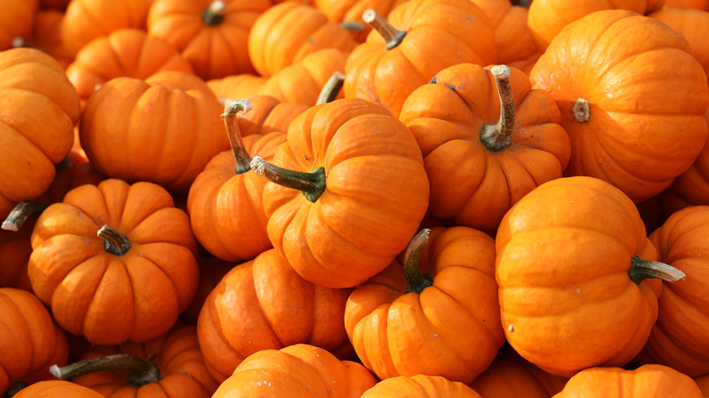 pile of pumpkins