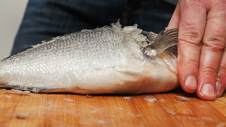   ganzen Fisch entkalken