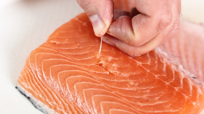   togliere le spine da un filetto di salmone