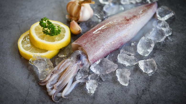   calamares crudos con cubitos de hielo