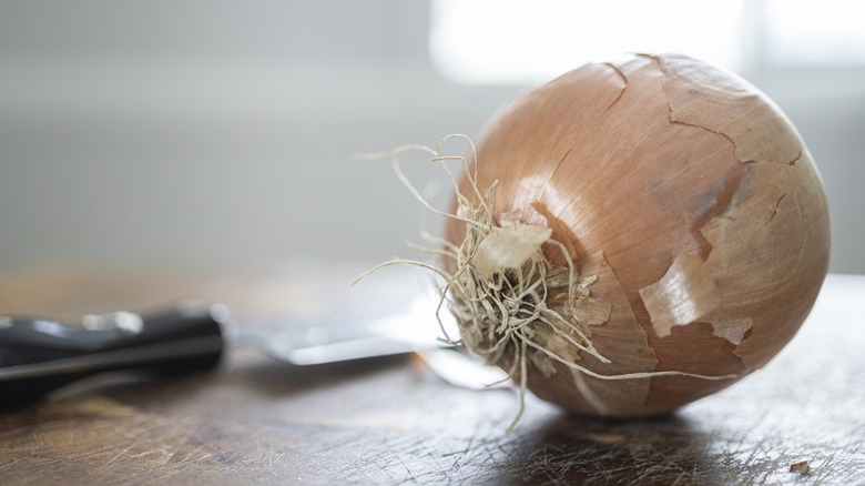 Onion and knife on cutting board