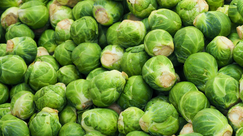 close up of Brussels sprouts