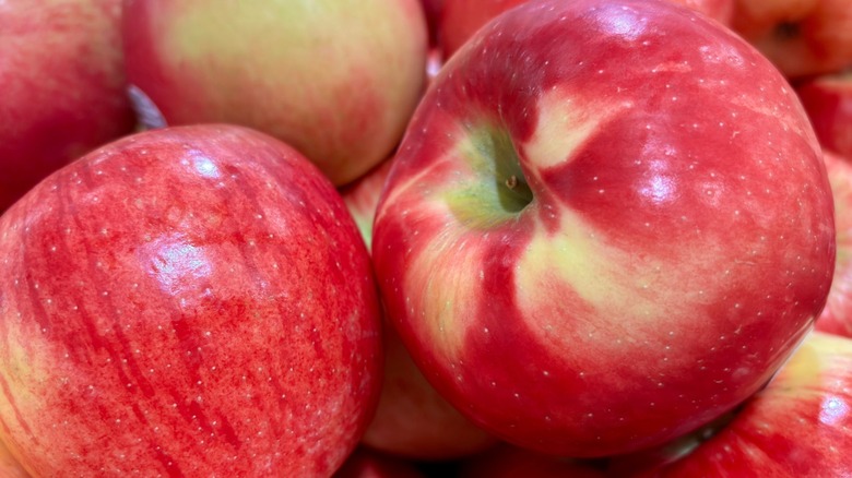 Close-up of honeycrisp apples