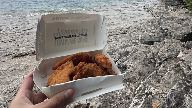 A hand holding a box of Culver's chicken tenders outdoors, with a rocky shore in the background