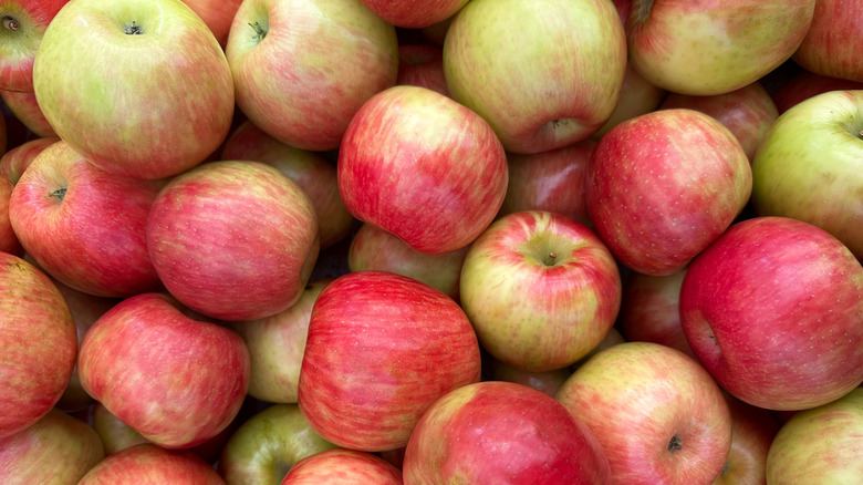 Fresh-picked Honeycrisp apples piled in a basket, ready for sale.