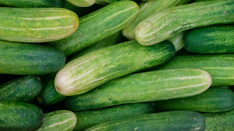 Green and white cucumbers in a pile closeup