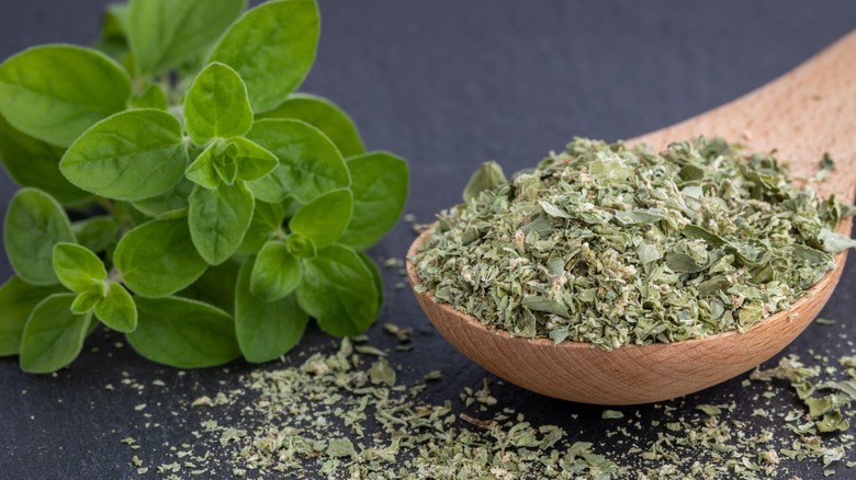 ground marjoram in wooden spoon