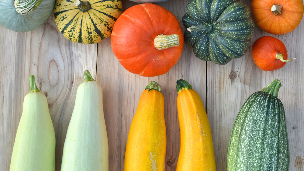 Variety of squash