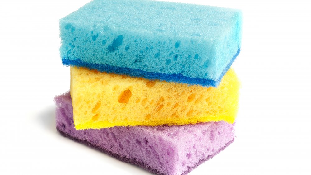 How Dirty Are Kitchen Sponges?