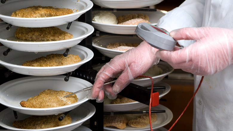 Person using a food thermometer