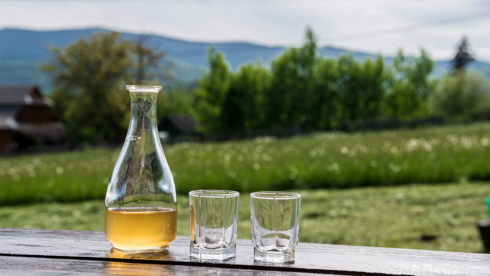 Here's How Honey Wine Is Different From Mead