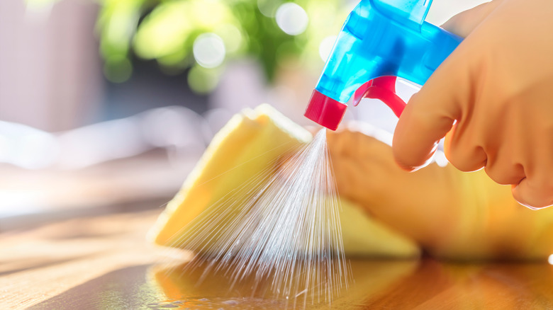 Hands in yellow gloves spraying countertop with disinfectant