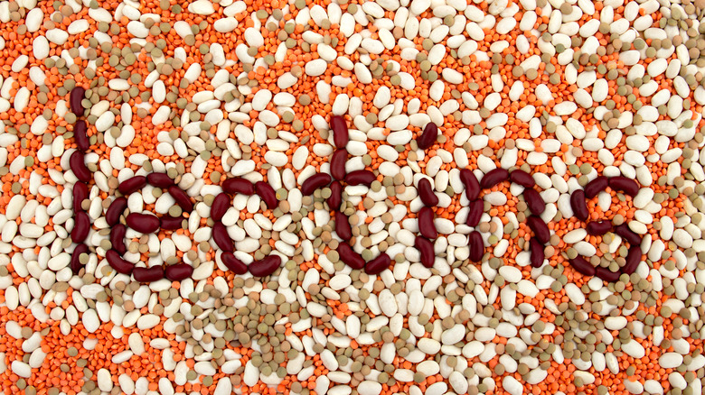 Lectins image of beans 