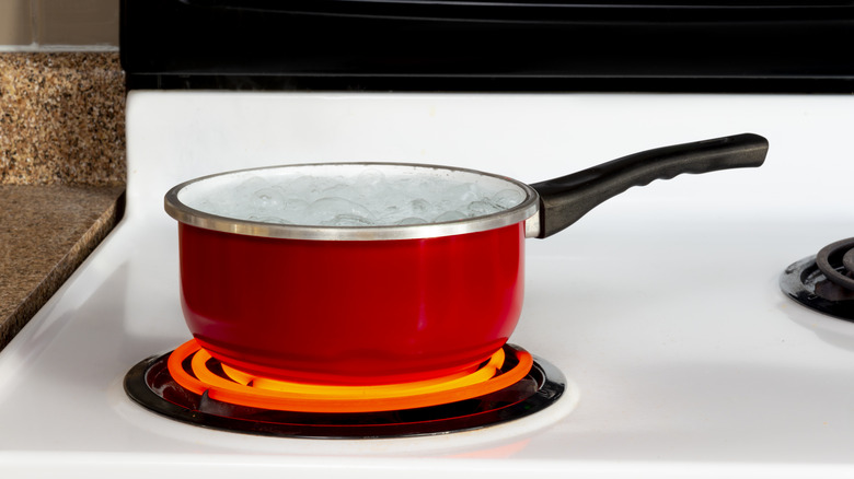 Update Your Stove from Gas to Electric