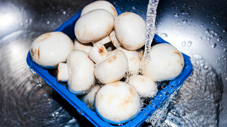 store bought mushrooms in a sink under running water