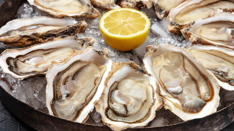 Raw oysters