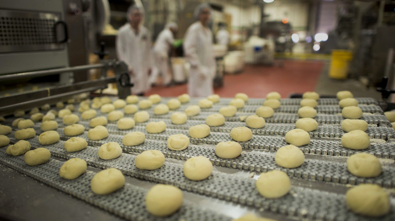 dough balls on conveyor belt