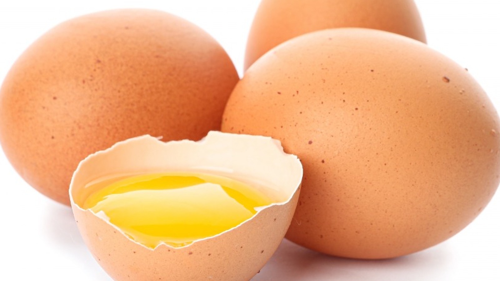 Here's What Actually Determines Eggshell Thickness