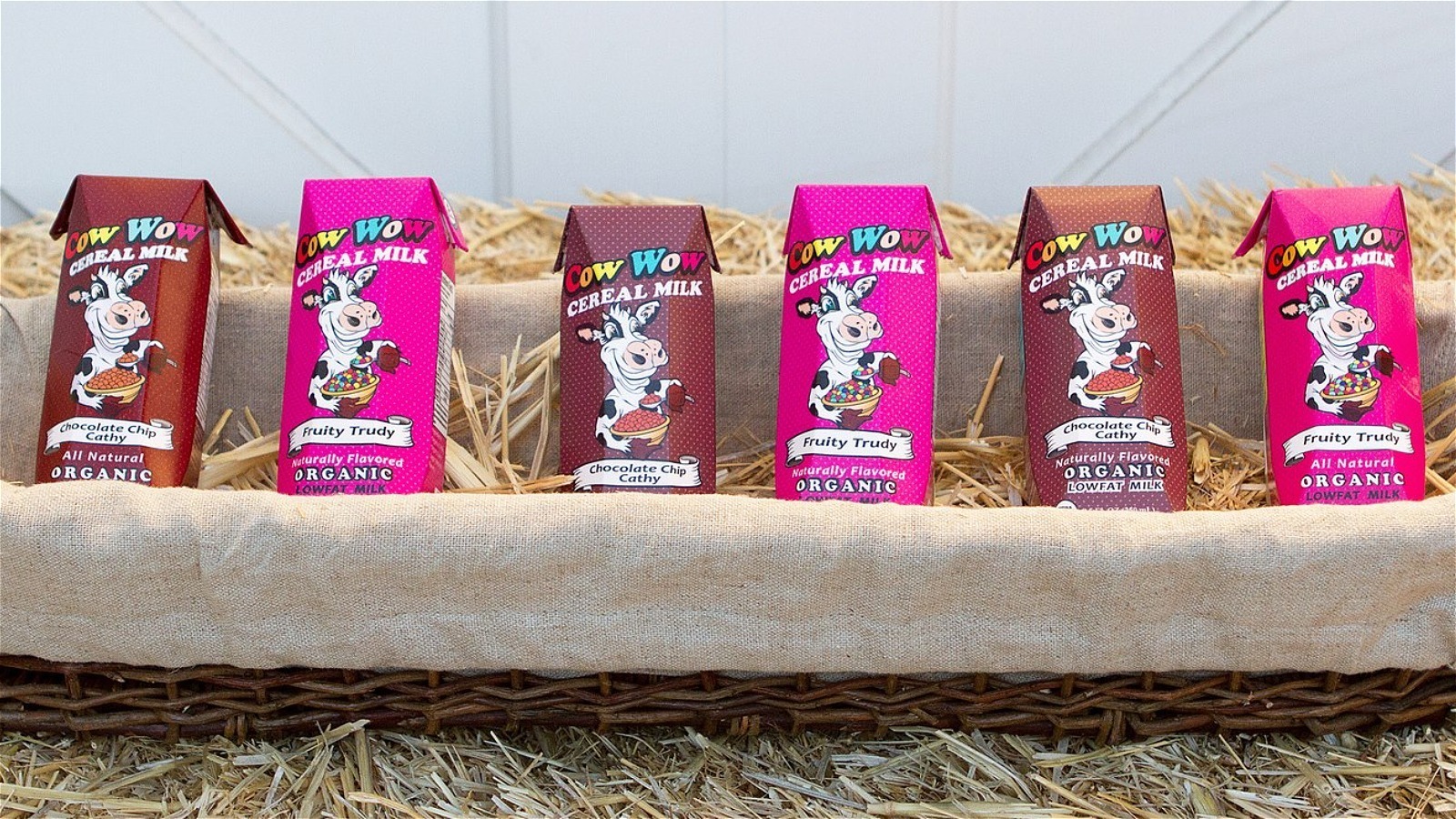 Here's What Happened To Cow Wow After Shark Tank